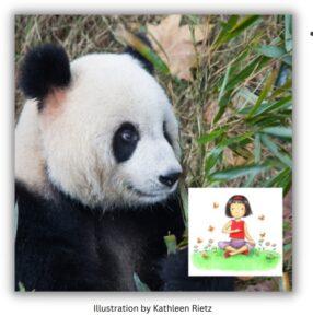 Panda Kids' Yoga Pose